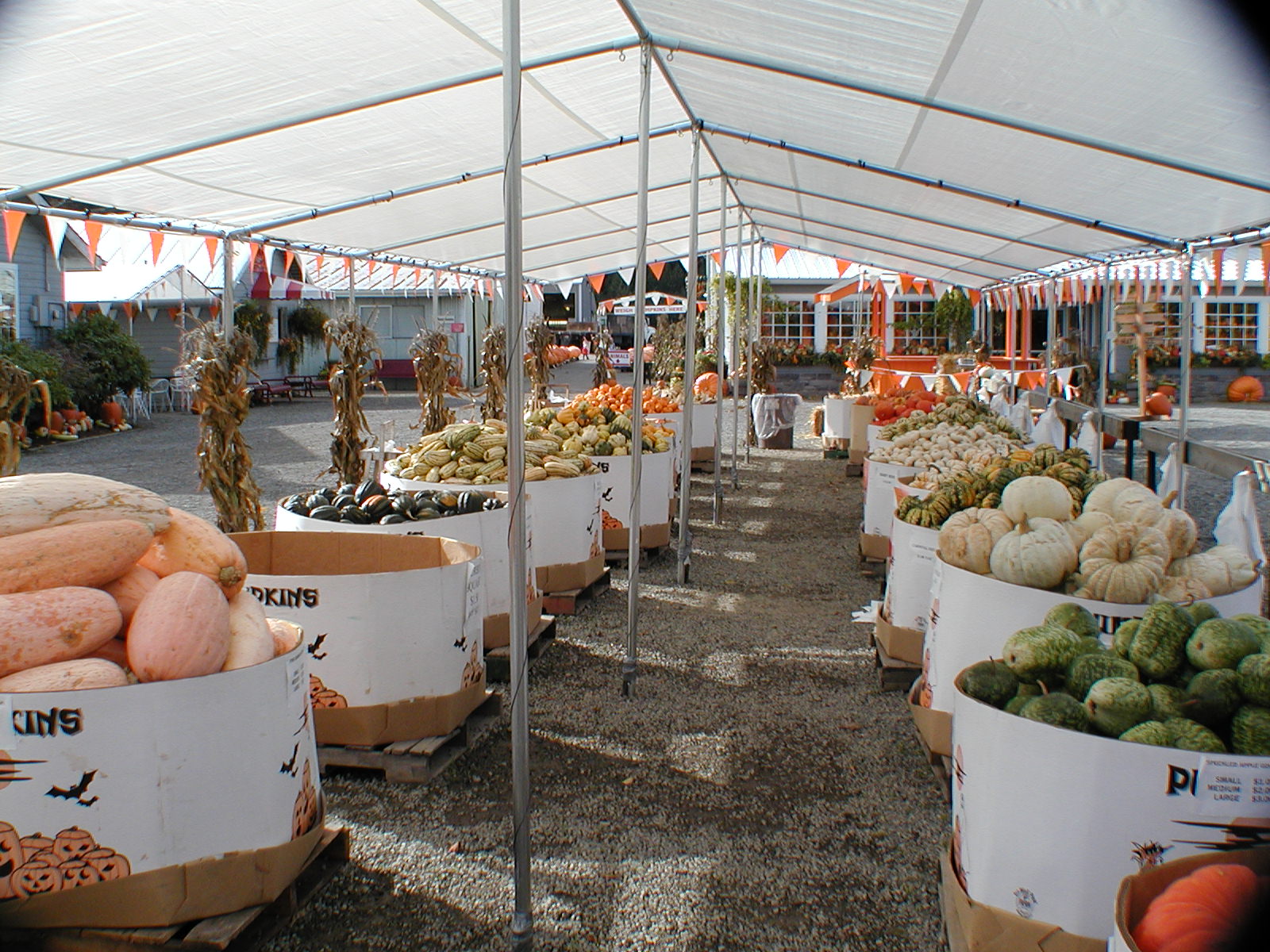 Fall is officially here Spooner Berries Spooner Farms Inc